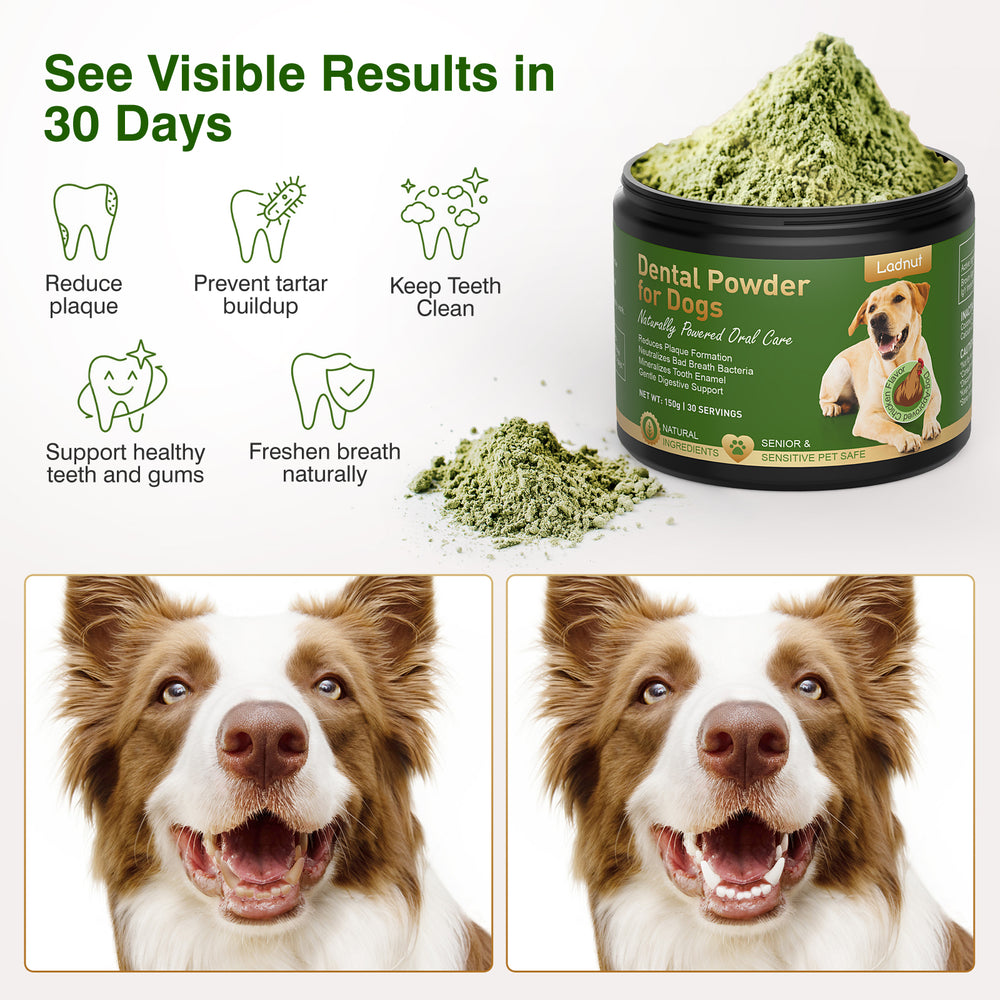 Dog Teeth Cleaning Powder — No-Brush Dental Care for Plaque, Tartar & Fresh Breath