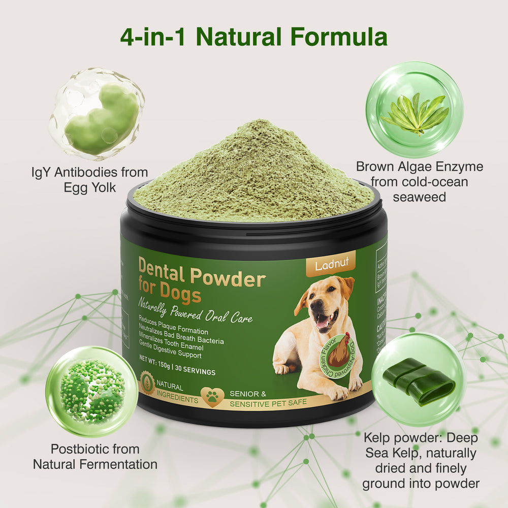 Dog Teeth Cleaning Powder — No-Brush Dental Care for Plaque, Tartar & Fresh Breath
