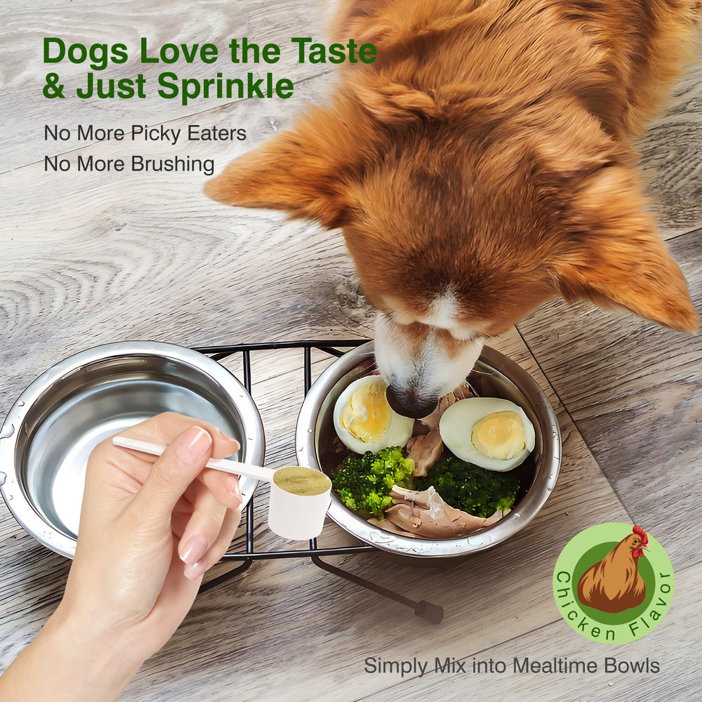 Dog Teeth Cleaning Powder — No-Brush Dental Care for Plaque, Tartar & Fresh Breath