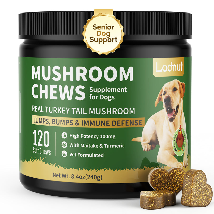 Immune & Healthy-Aging Mushroom Chews for Senior Dogs