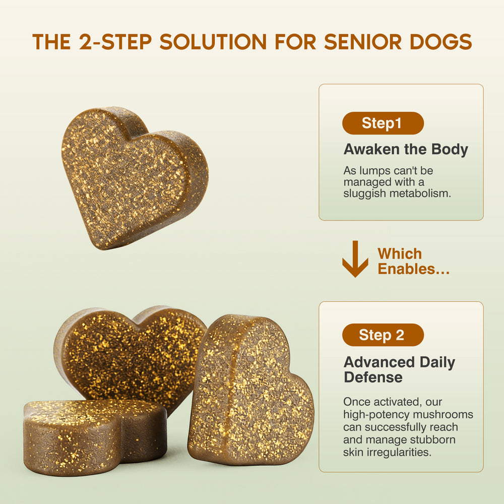Immune & Healthy-Aging Mushroom Chews for Senior Dogs