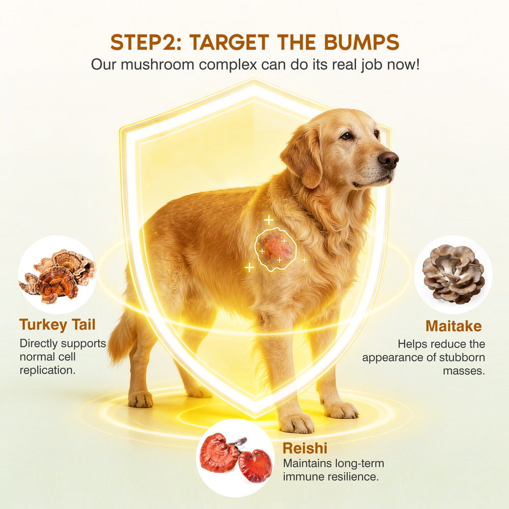 Immune & Healthy-Aging Mushroom Chews for Senior Dogs
