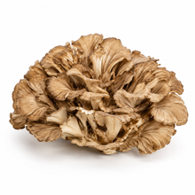 Maitake